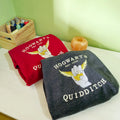 Quidditch